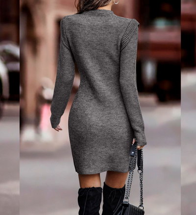 Phoebe | Women's Fitted Mini Jumper Dress
