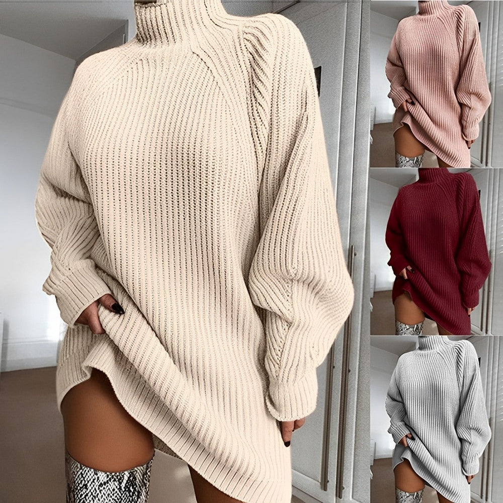 Quinn | Women's Roll Neck Ribbed Jumper Dress