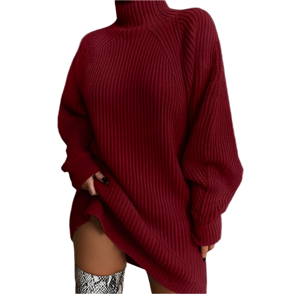 Quinn | Women's Roll Neck Ribbed Jumper Dress