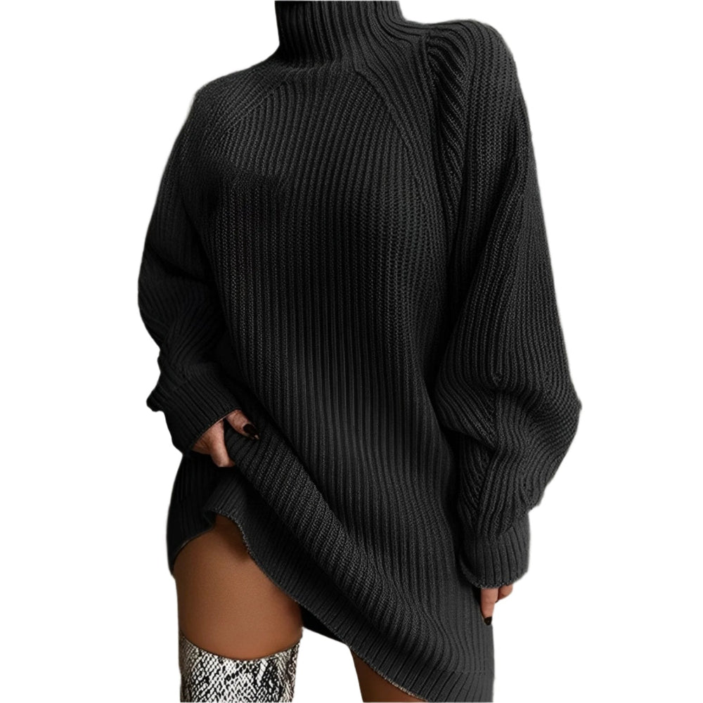 Quinn | Women's Roll Neck Ribbed Jumper Dress