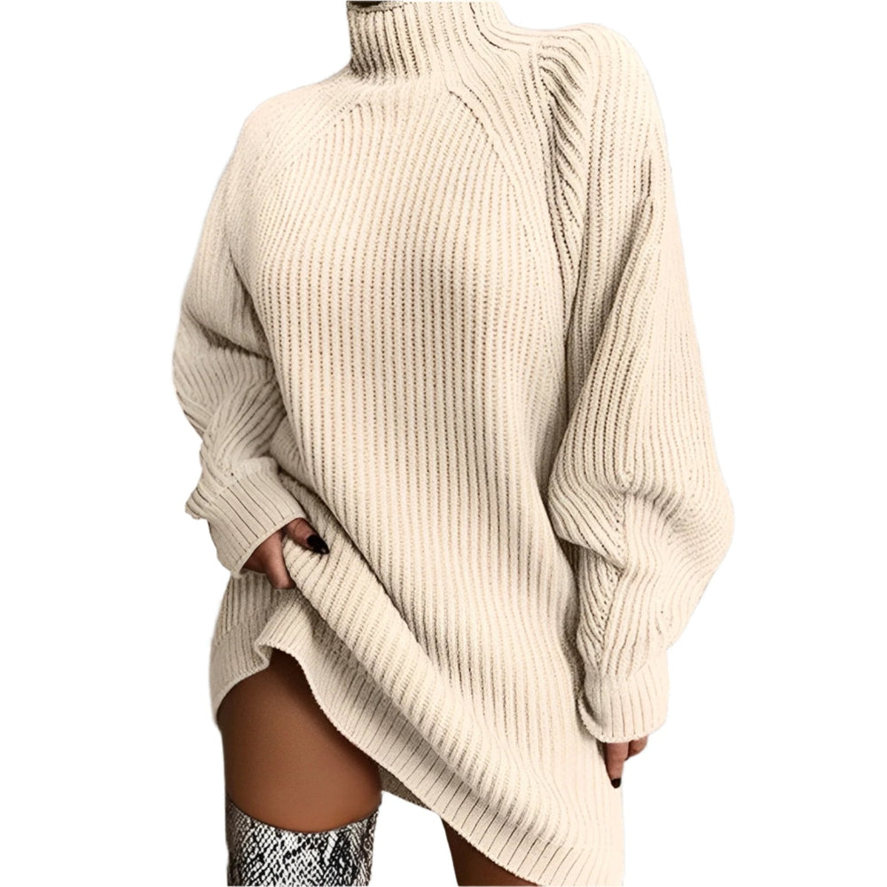 Quinn | Women's Roll Neck Ribbed Jumper Dress