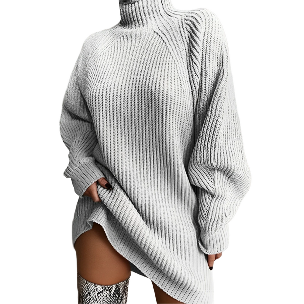 Quinn | Women's Roll Neck Ribbed Jumper Dress